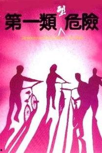 第一类型危险,潜在威胁与防范策略